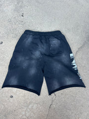 Axtcy "America" Shorts
